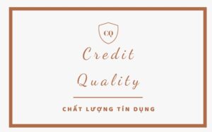 Around Credit Scoring Algorithms